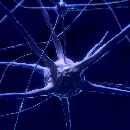 nerve-cells-g8f0075d42_1920 nerve-cells-g8f0075d42_1920